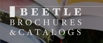 download-the-brochures-sm