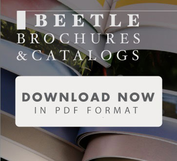 download-the-brochures